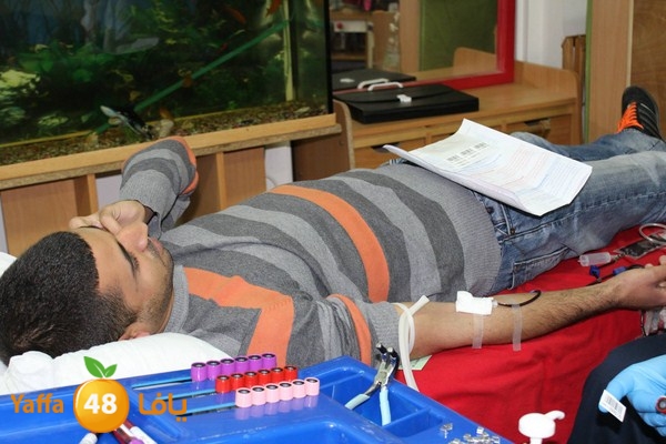 dam kenan0331 (11).jpg